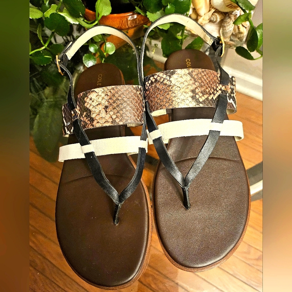 Ladies Cole Haan Finley Grand Sandal Python Multi Print Size 8 .5